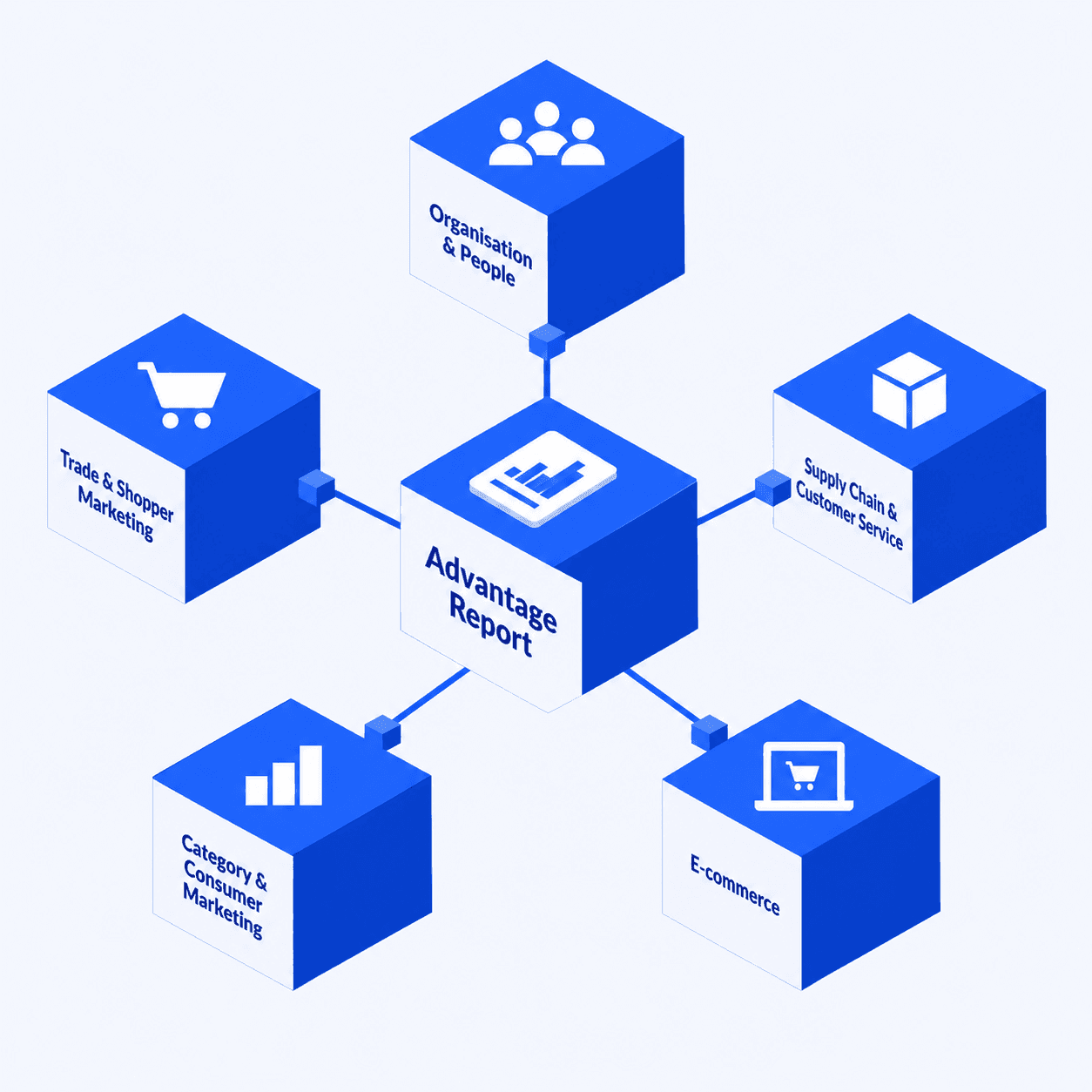 The Advantage Report's five competency areas: Organisation & People, Trade & Shopper Marketing, Supply Chain & Customer Service, Category & Consumer Marketing, and E-commerce